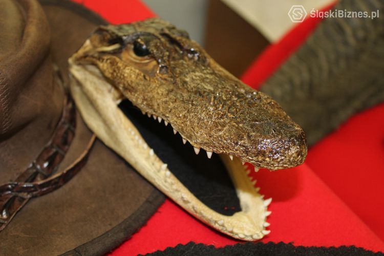 Skóry krokodyla są częstym zakupem turystów.